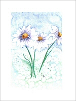 5 Blank Note Cards Floral Collection