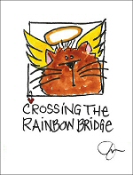 Cat Rainbow Bridge