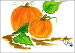 Pumpkins