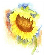Sunflower#5
