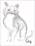 Pretty Kitty