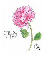 Pink Rose