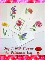 Say it with Flowers