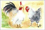 Chickens