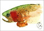 Trout