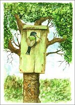 Bird House