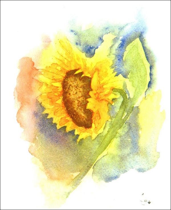 Sunflower#3