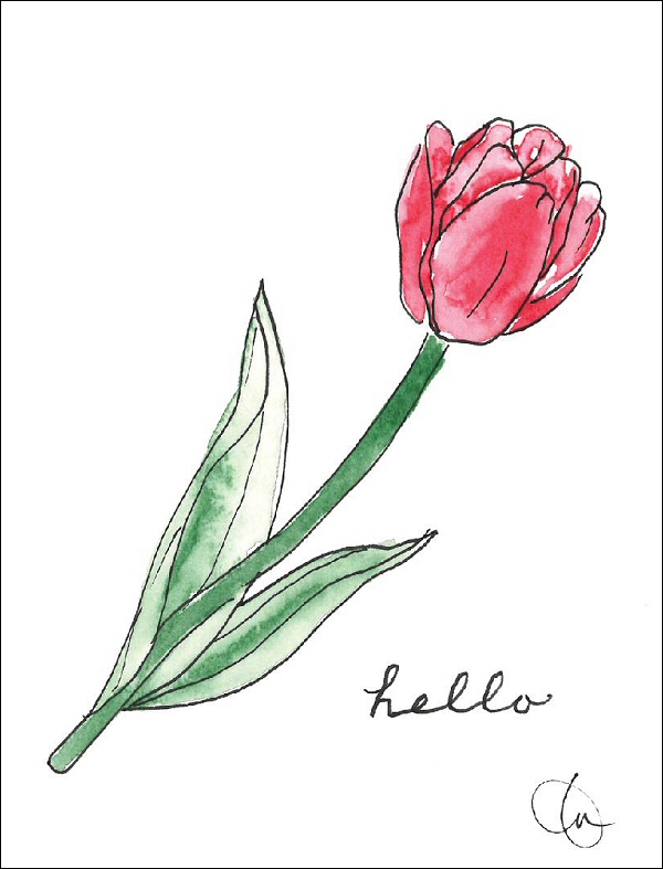 Hello Tulip
